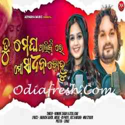 Tu Megha Palinki Re Mo Sadhaba Bohu